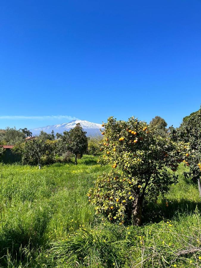 Casa Dei Fiori Con La Vista A Taormina Daire Schiso Dış mekan fotoğraf