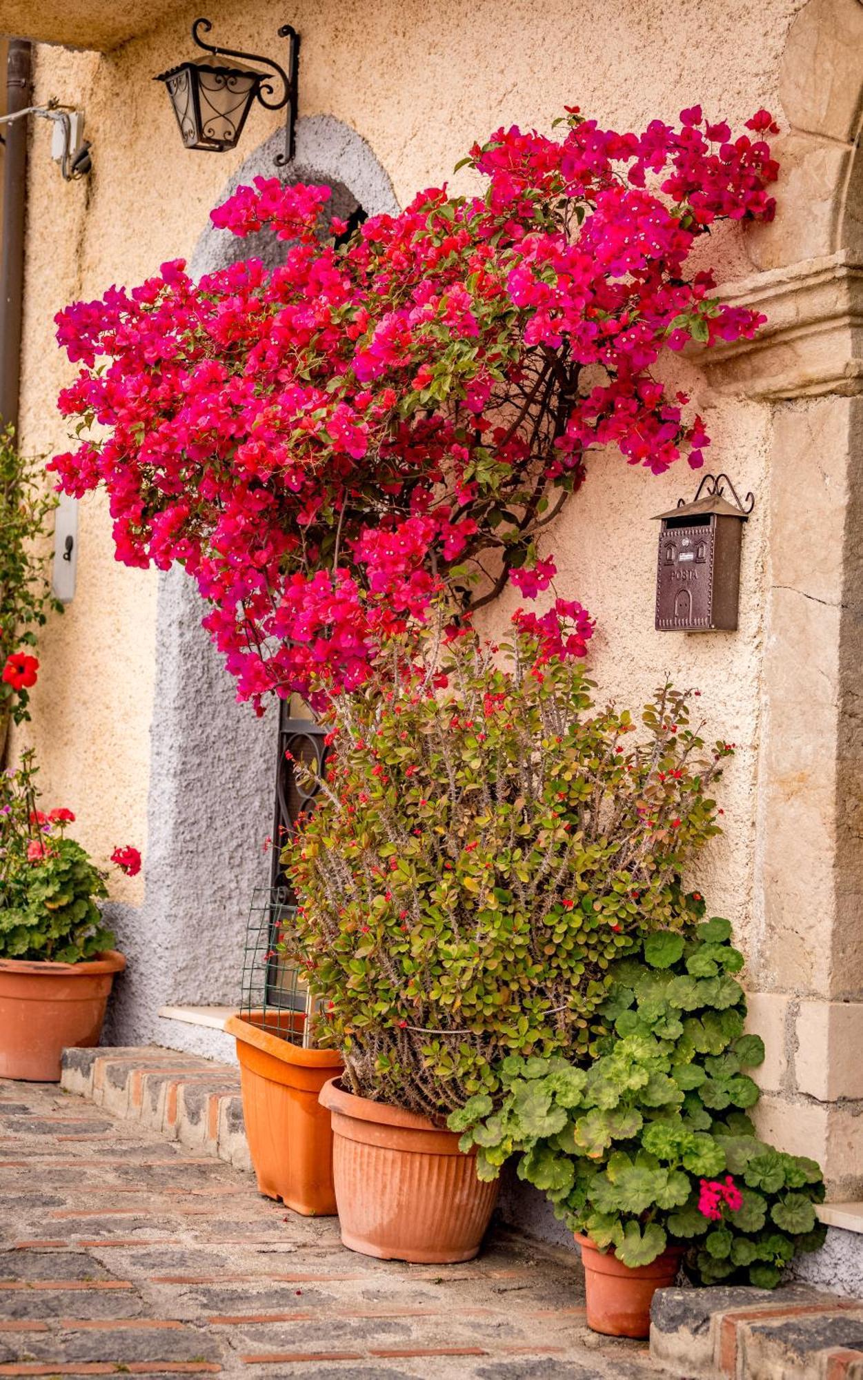 Casa Dei Fiori Con La Vista A Taormina Daire Schiso Dış mekan fotoğraf